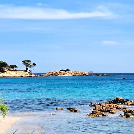 Le Berceau D'Asciaghju Palombaggia - Acces Plage Et Piscine Privee Porto-Vecchio  Bagian luar foto